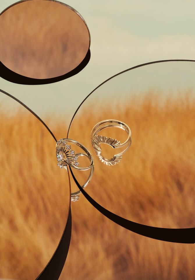 Silver rings standing on small round mirrors, a dried-grass backdrop reflected in the glass, layered composition