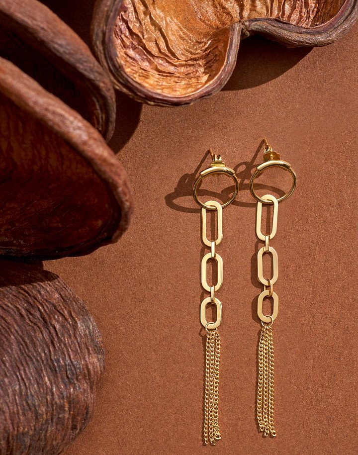 Gold chain earrings arranged beside dried seed pods on warm-toned paper, hard texture against soft metal