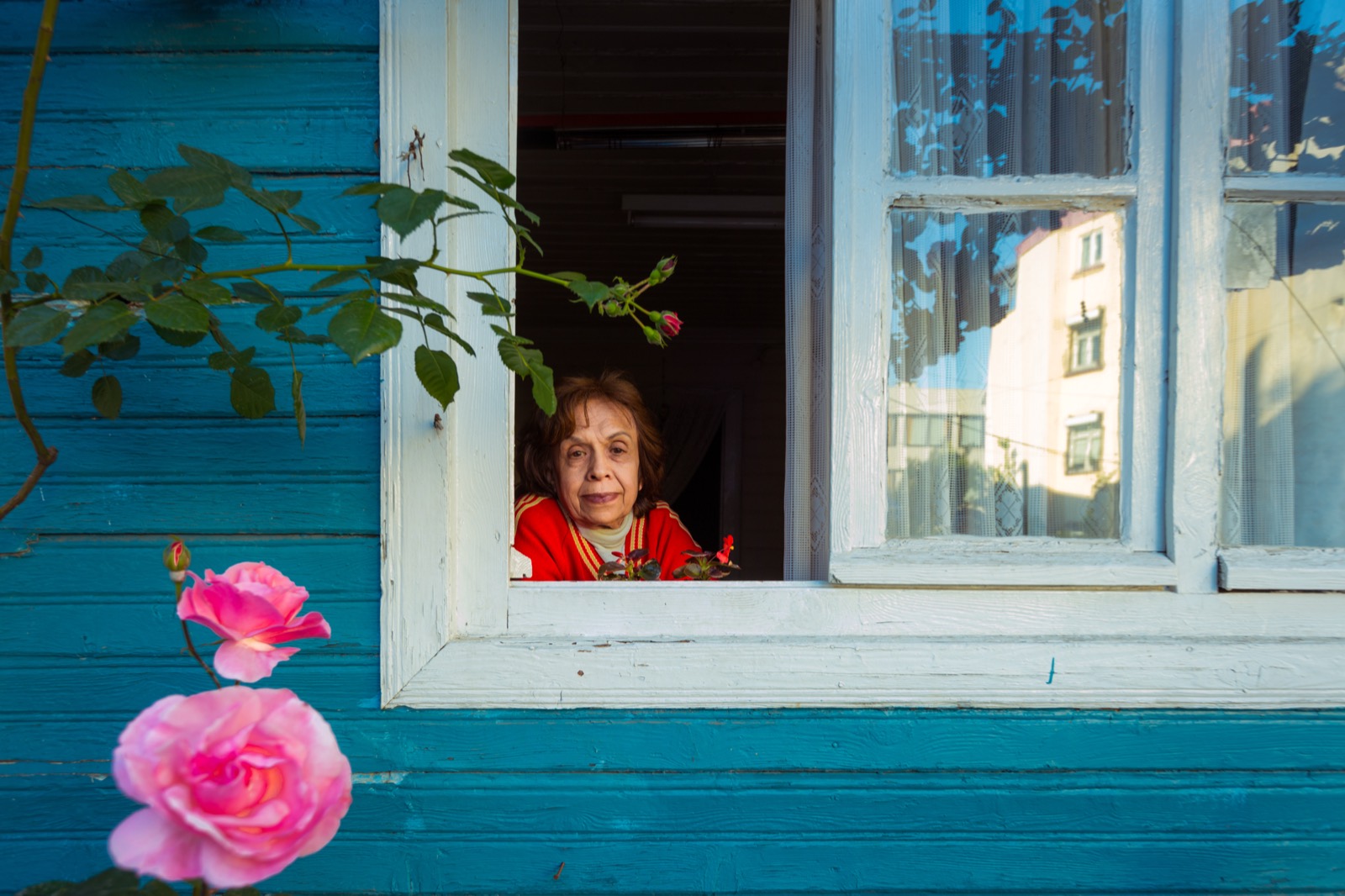 Kırmızılı yaşlı bir kadın, pembe güllerle çerçevelenmiş mavi ahşap bir evin penceresinden dışarı bakıyor — Sefa Yamak'tan sokak fotoğrafı, İstanbul serisi.